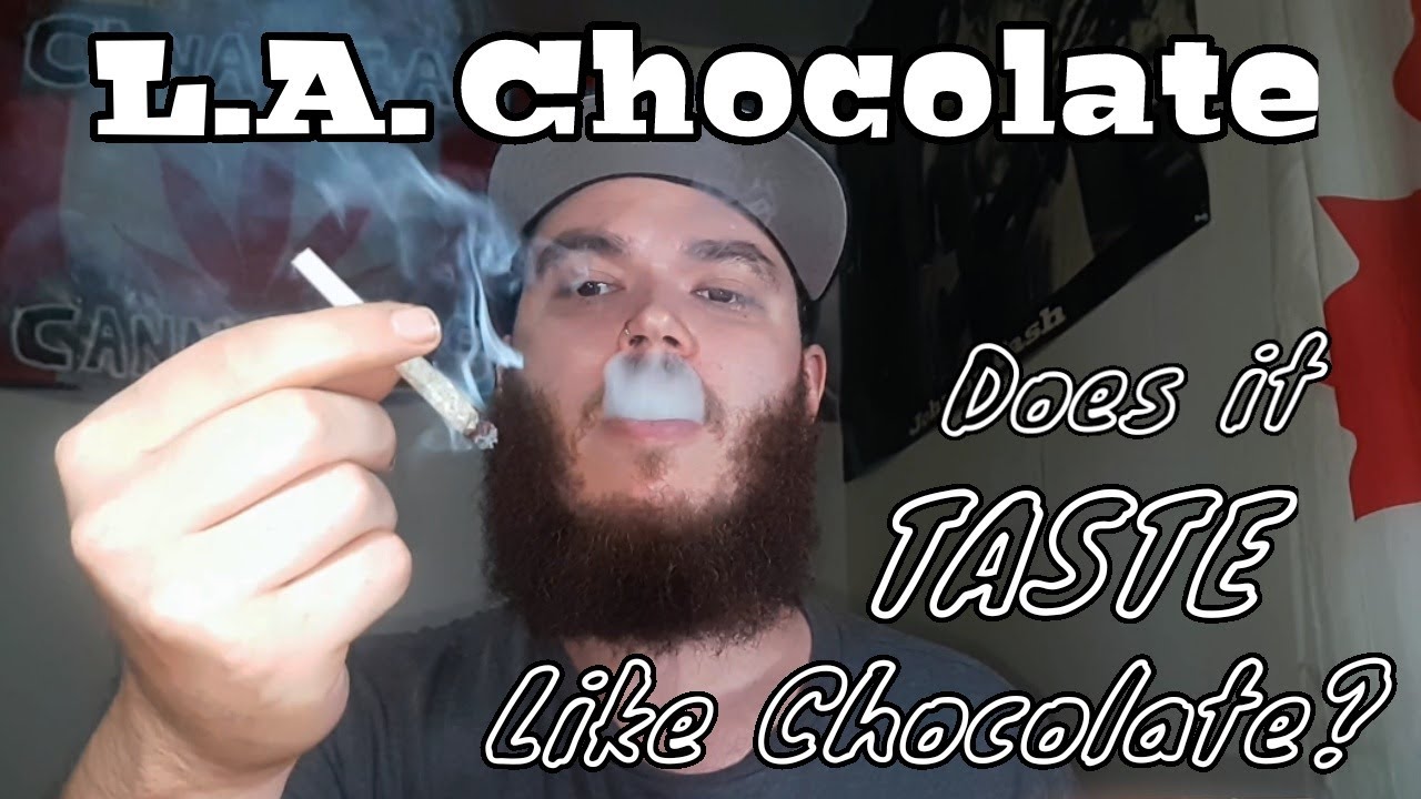 Обзор сорта &mdash; L.A. Chocolate