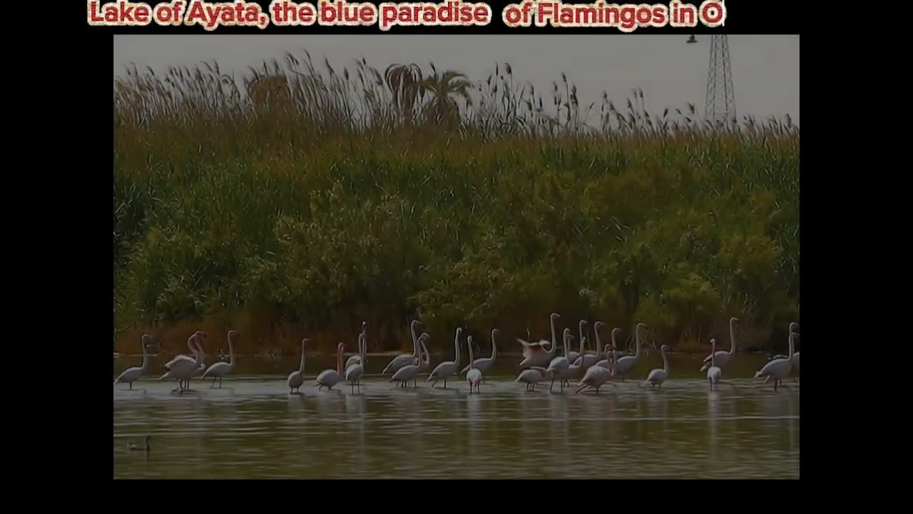 Explore Algeria, Lake of Ayata 