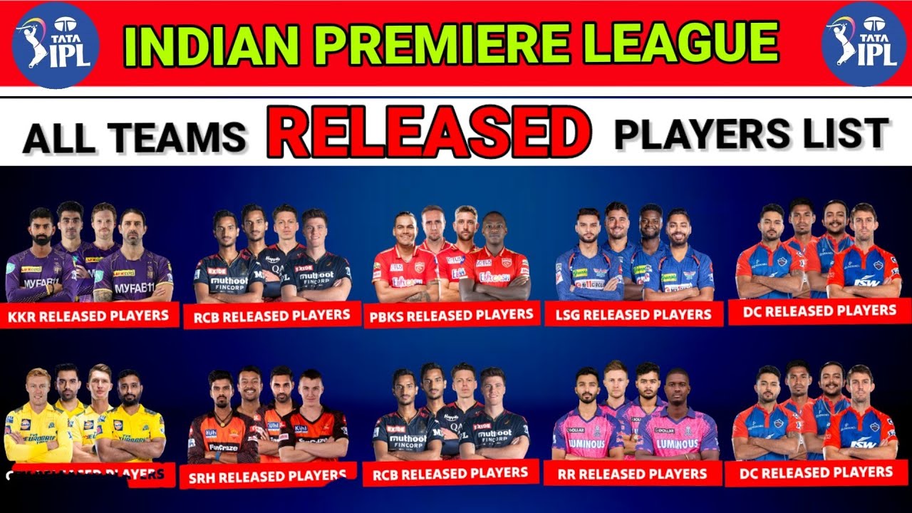 IPL 2024 |ALL Teams Released Players List 2024|SRH, RCB, KKR, GT, CSK, PBKS, DC, RR, MI, LSG |