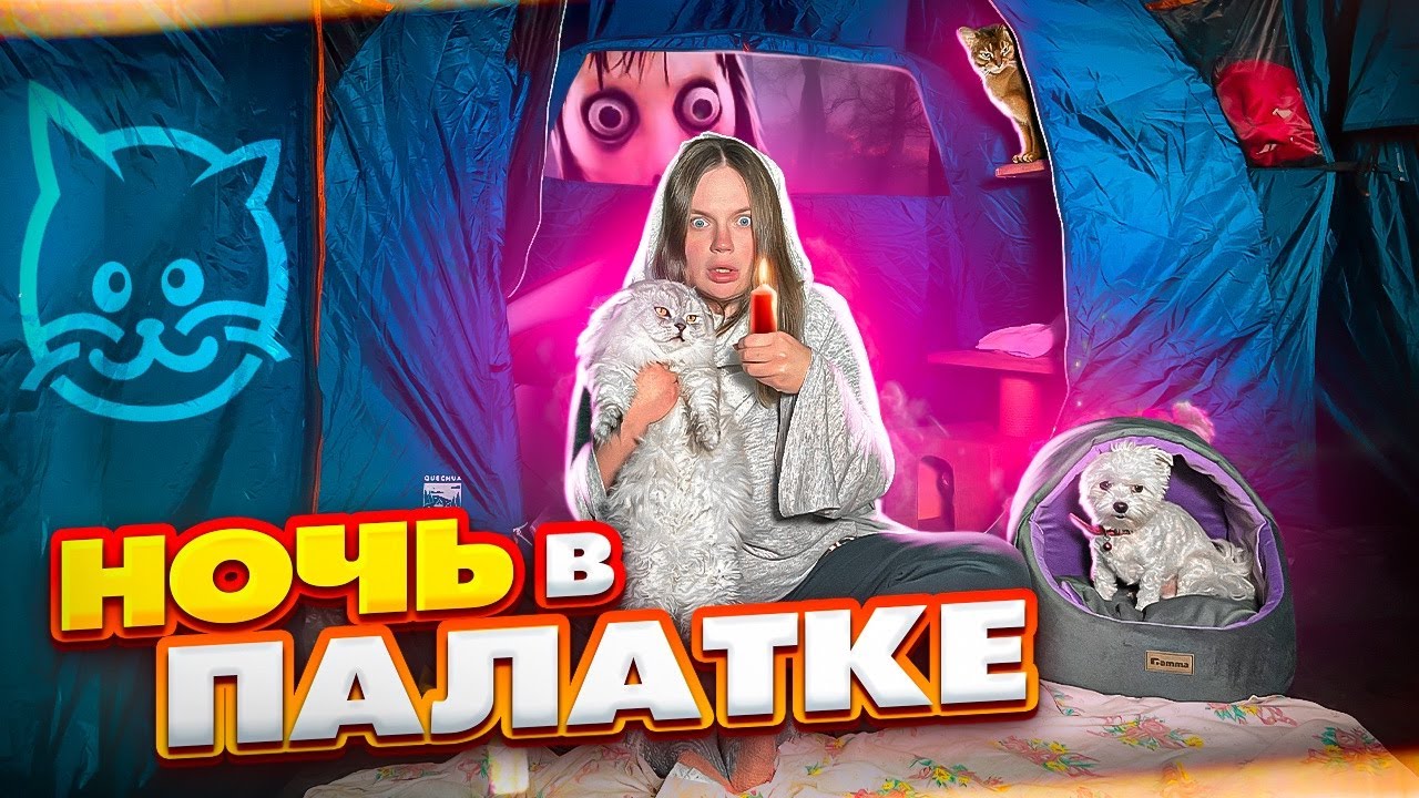 НОЧЬ В ТРЁХКОМНАТНОЙ ПАЛАТКЕ С КОТАМИ И МОМО