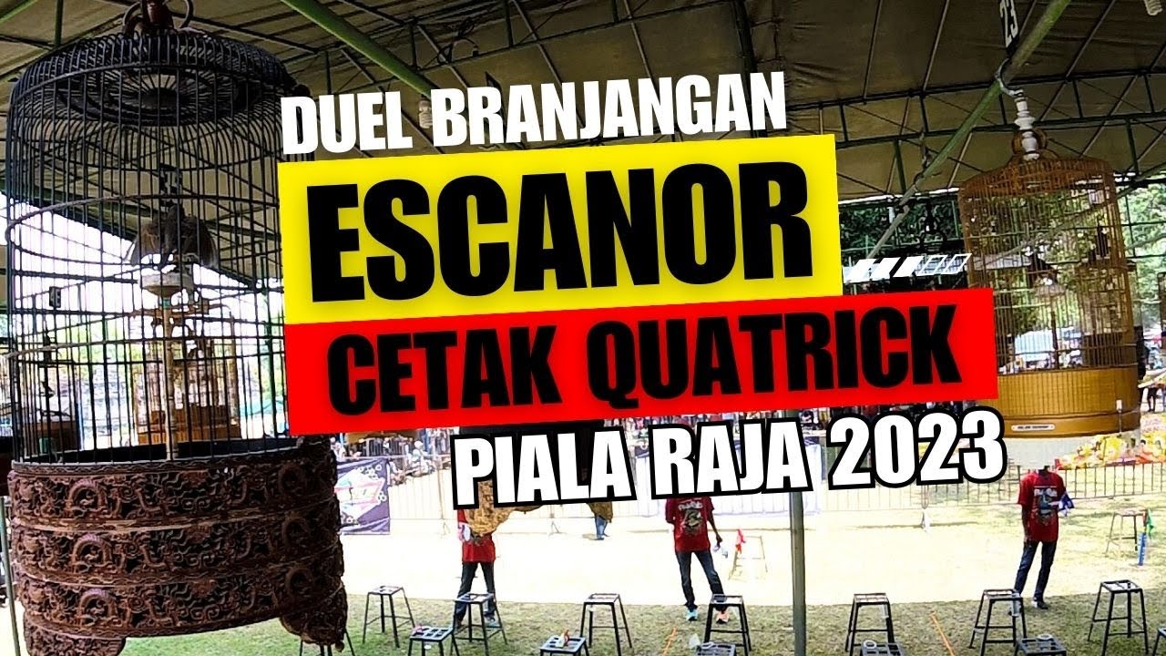 QUATRICK PIALA RAJA 2023 🔥Duel Seru Branjangan ESCANOR 'RING DSM' Surabaya