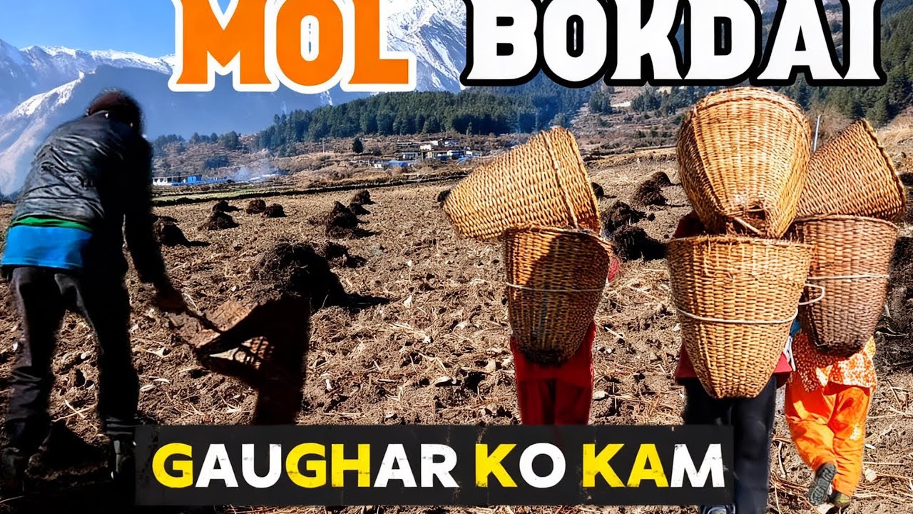 Aja ghar ma k kam theyo tw😍😍  kam gardw  deeri ramailo vayo 😊