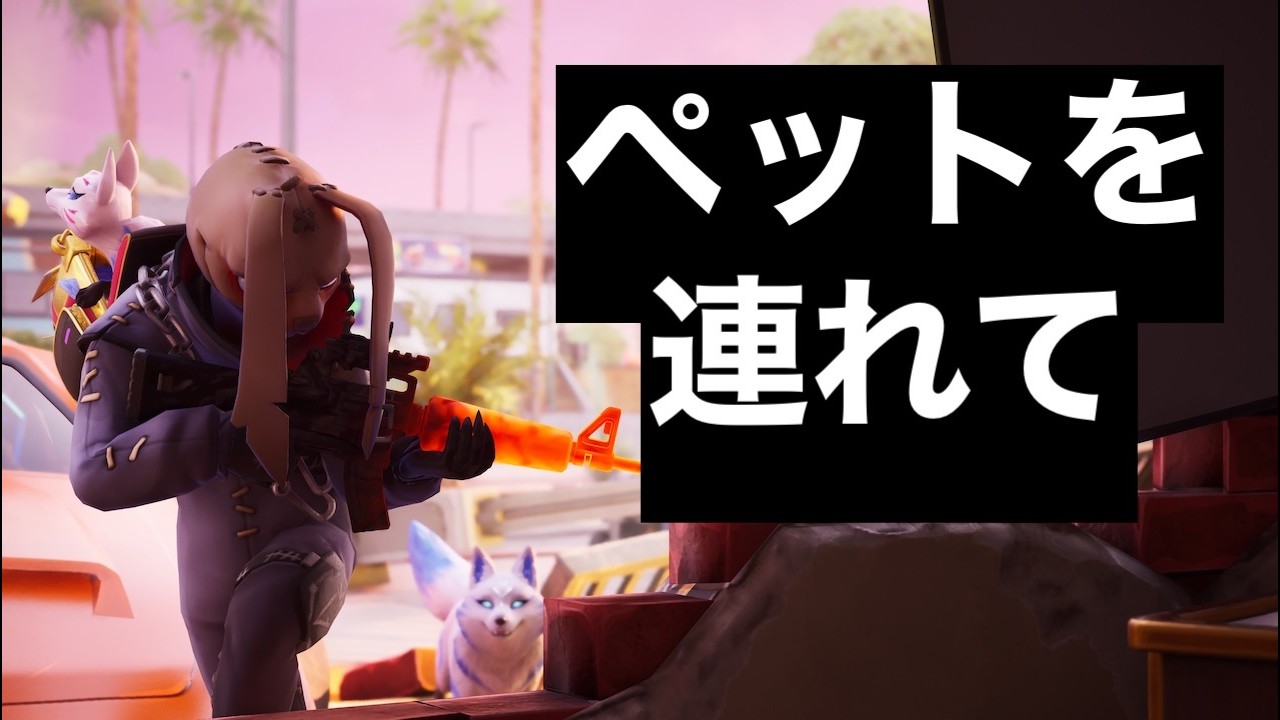 戦場　２匹と共に[フォートナイト]