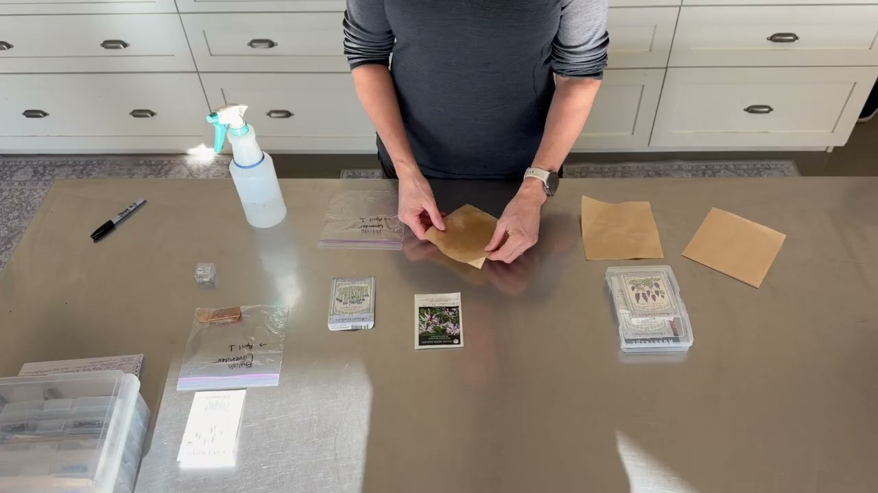 Seed Stratification