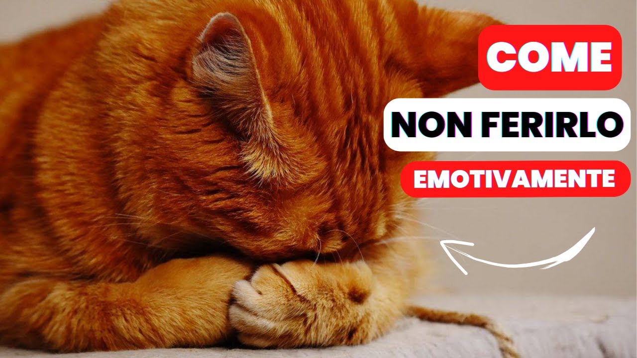 10 Cose che Feriscono EMOTIVAMENTE il tuo Gatto