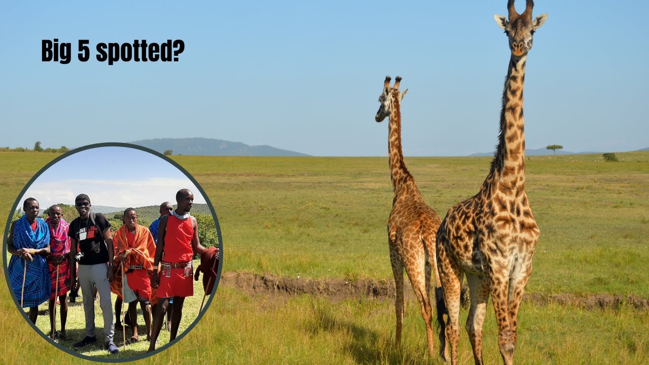 Maasai Mara was good to us.( Manyatta & Emayian Luxury Camp )
