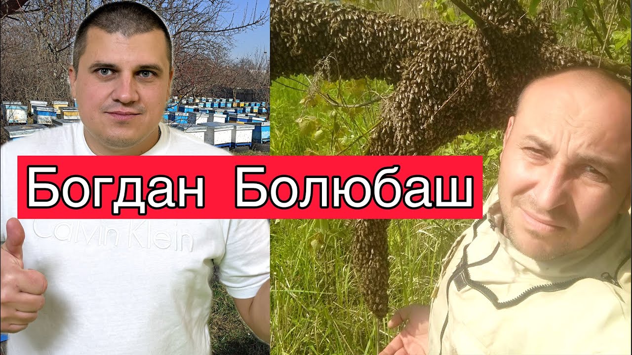 Богдан Болюбаш - Пасічник професіонал 🐝 Бджільництво України 🐝 Прямий Ефір 17.12.2023