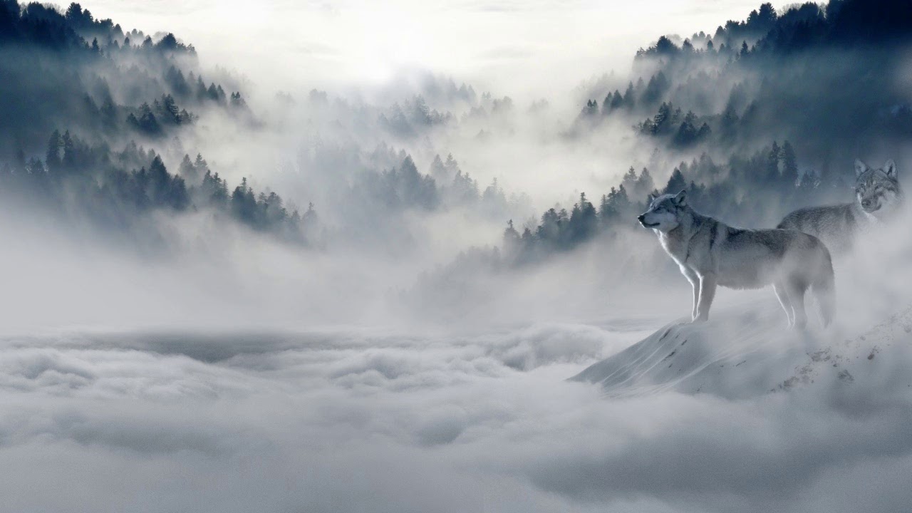 [Chill] Angus MacRae &ndash; Wolves