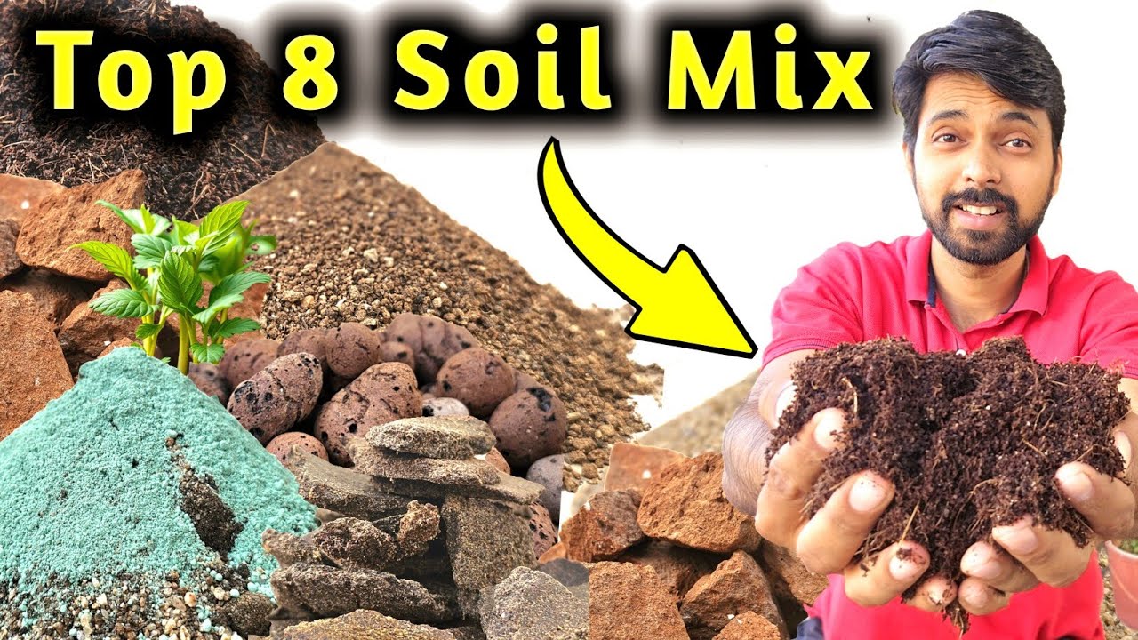 8 Best Soil Mix for Plants | Super Soil Mix for Potted Plants