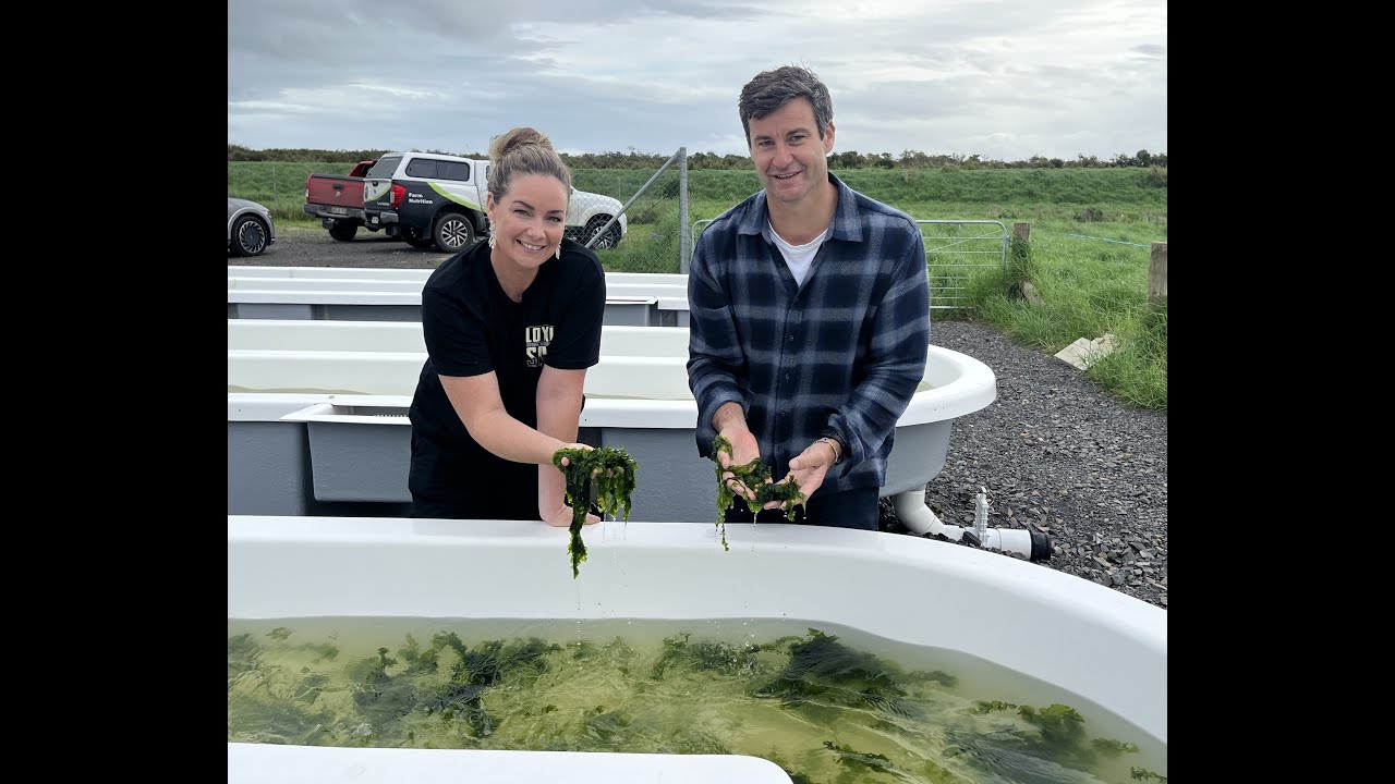 Cleaning up waterways with seaweed - Fish of the Day Agrisea 2023 (Short version)