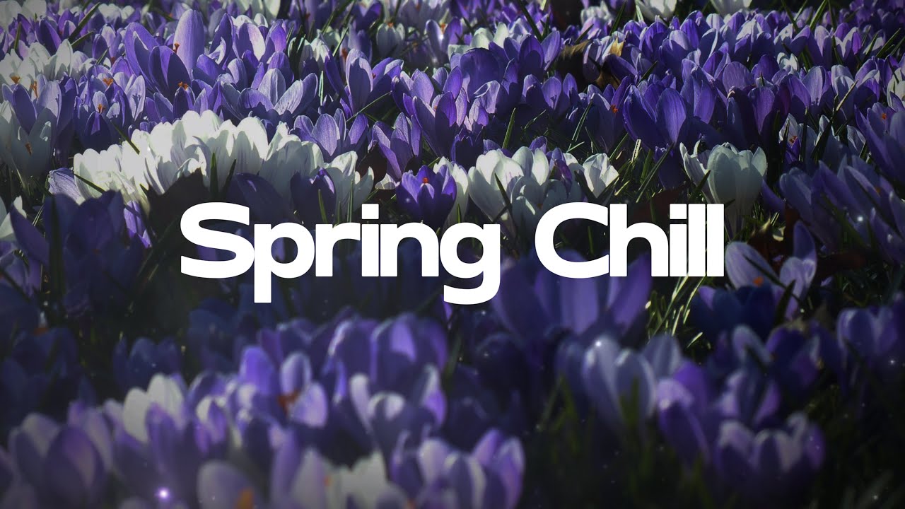 Spring Chill 🍃 Playlist 2024 🪐⭐️ Chill Music to study - work - relax | The Chill Mix No.2