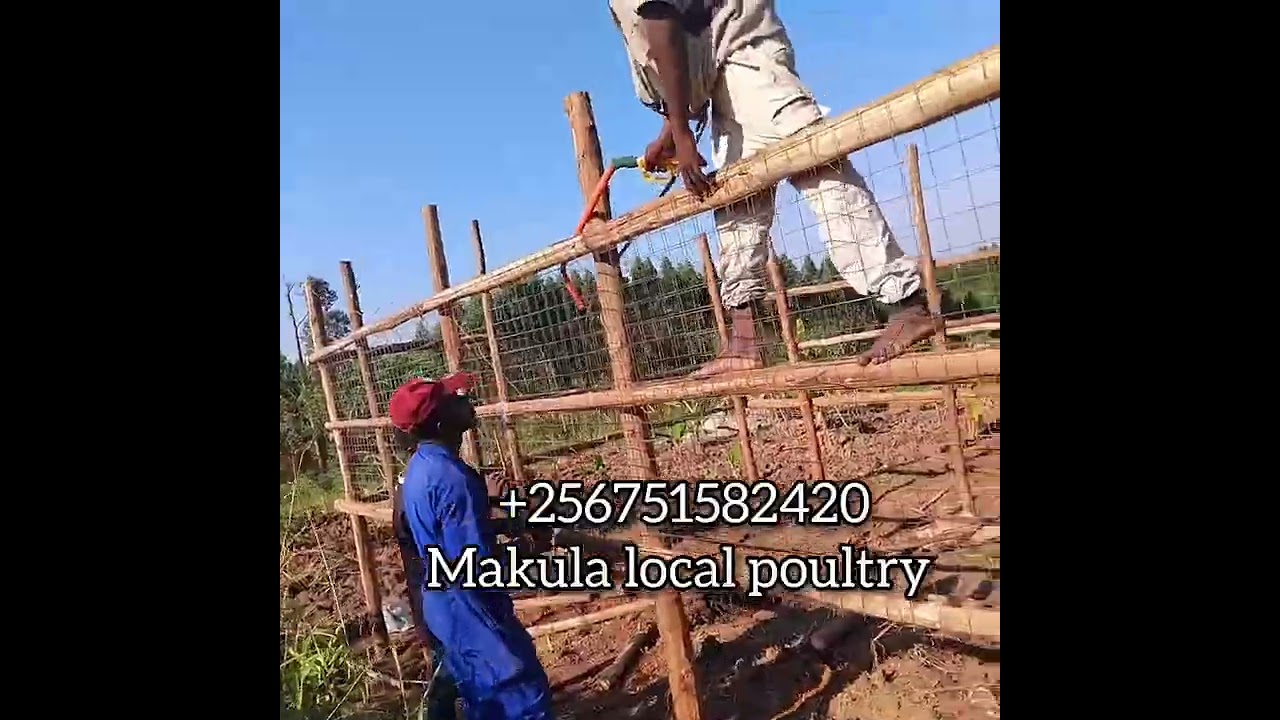 yiino combo yaffe eya 3.5..tuli kisamula