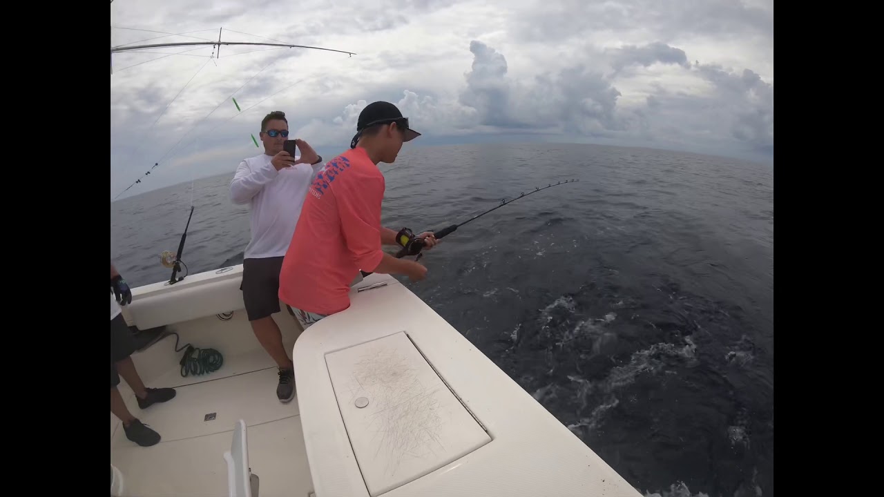 40 pound yellowfin on tld 25
