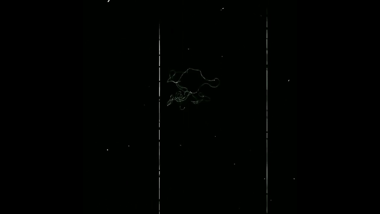 Noice glitch effect Blackscreen template||Old movie Grain Overlay video for download #videoediting
