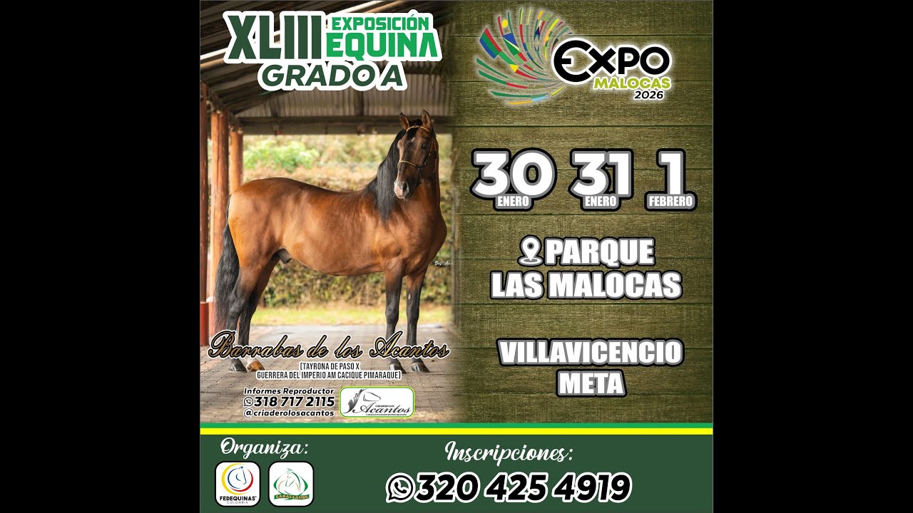 EXPOSICION EQUINA GRADO 