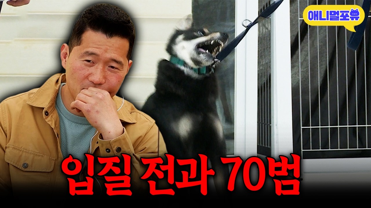 ‘저희 강아지가 무서워요...’ 보호자도 겁먹게 만든 역대급 입질견ㅣKBS 개는 훌륭하다 220321 방송