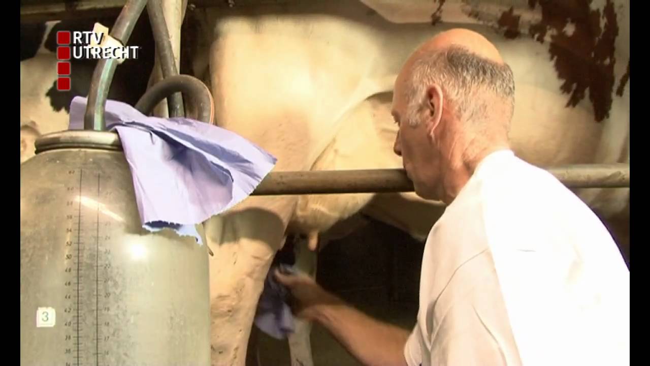 Boer kan melk net zo goed weggeven