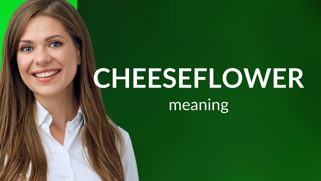Cheeseflower &mdash; CHEESEFLOWER meaning