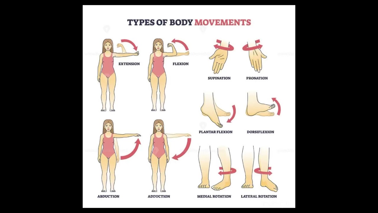 Types of body movements#humananatomy#simplenursing#nclexnursing#shortsvideoviral#ytshort#viral#mbbsl