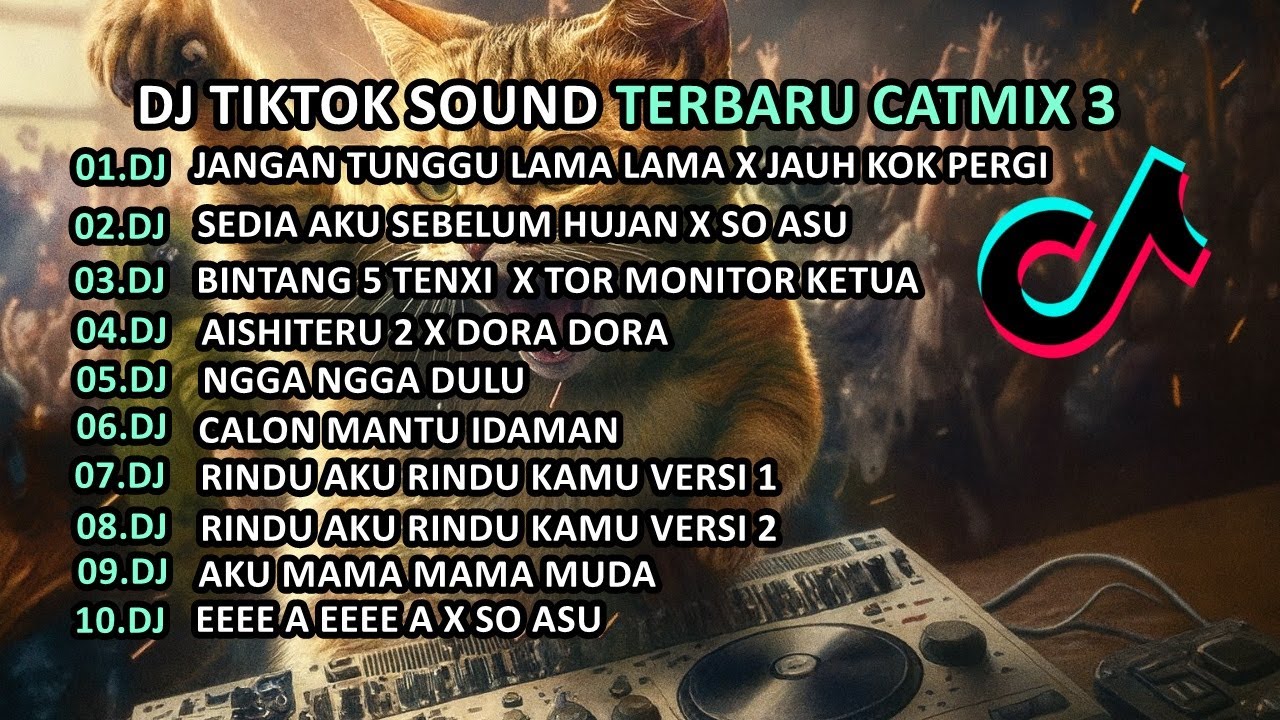 DJ Jangan Tunggu Lama Lama X Jauh Ko Pergi 💥 Catmix 3 Full Album