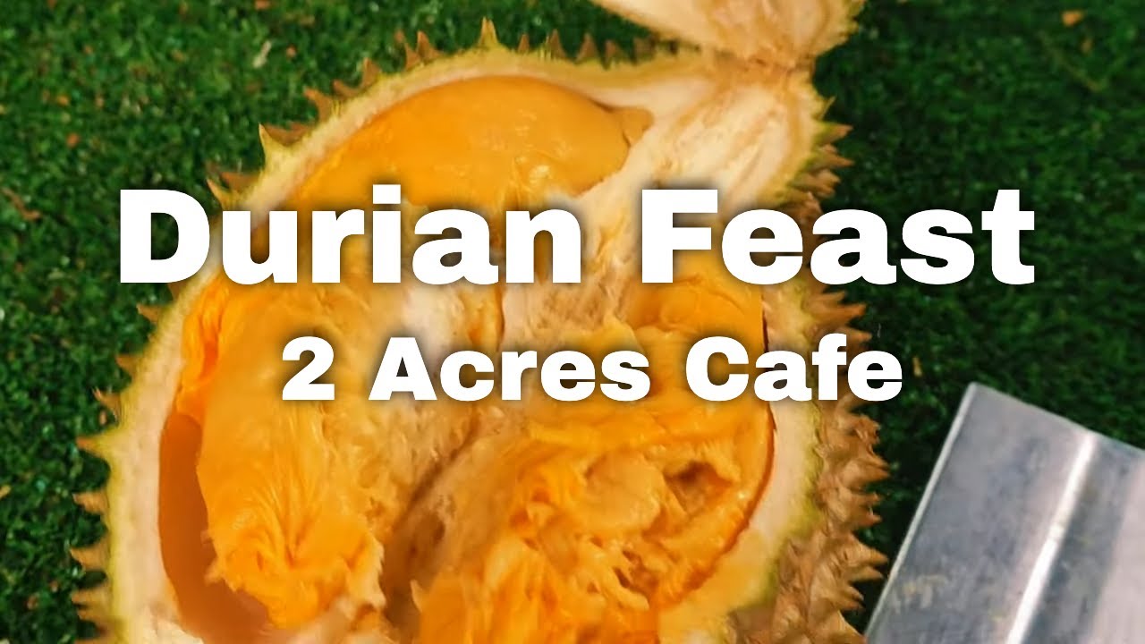 Durian Paradise: The Ultimate Durian Feast at 2 Acres cafe with a scenic setting among lush greenery