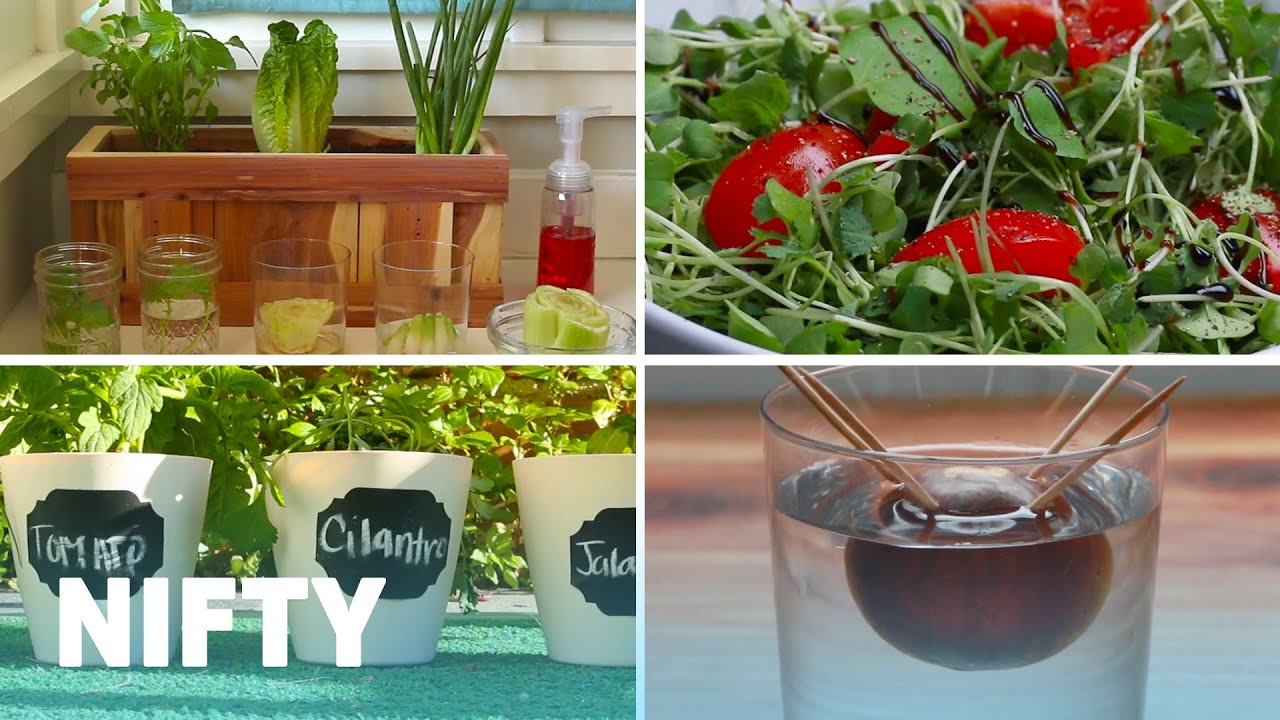 4 Tips And Tricks For Growing Your Own Food
