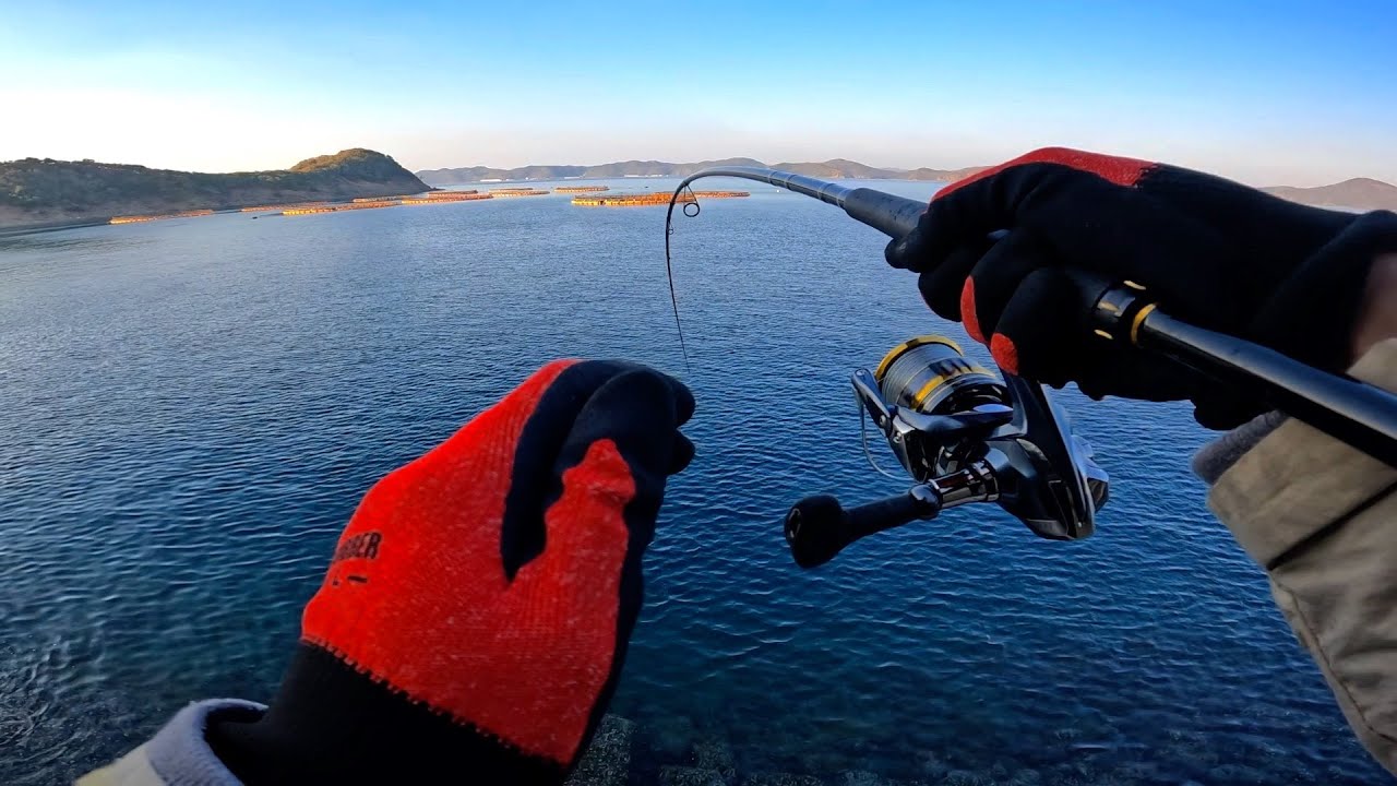 ダイソータイラバが大型魚にひたすら襲われる