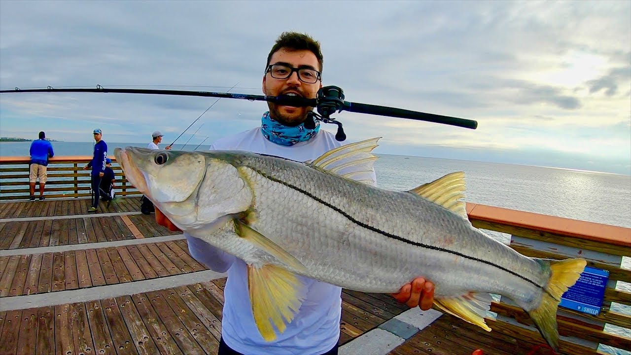 STRONGEST Fish Caught from Florida Pier