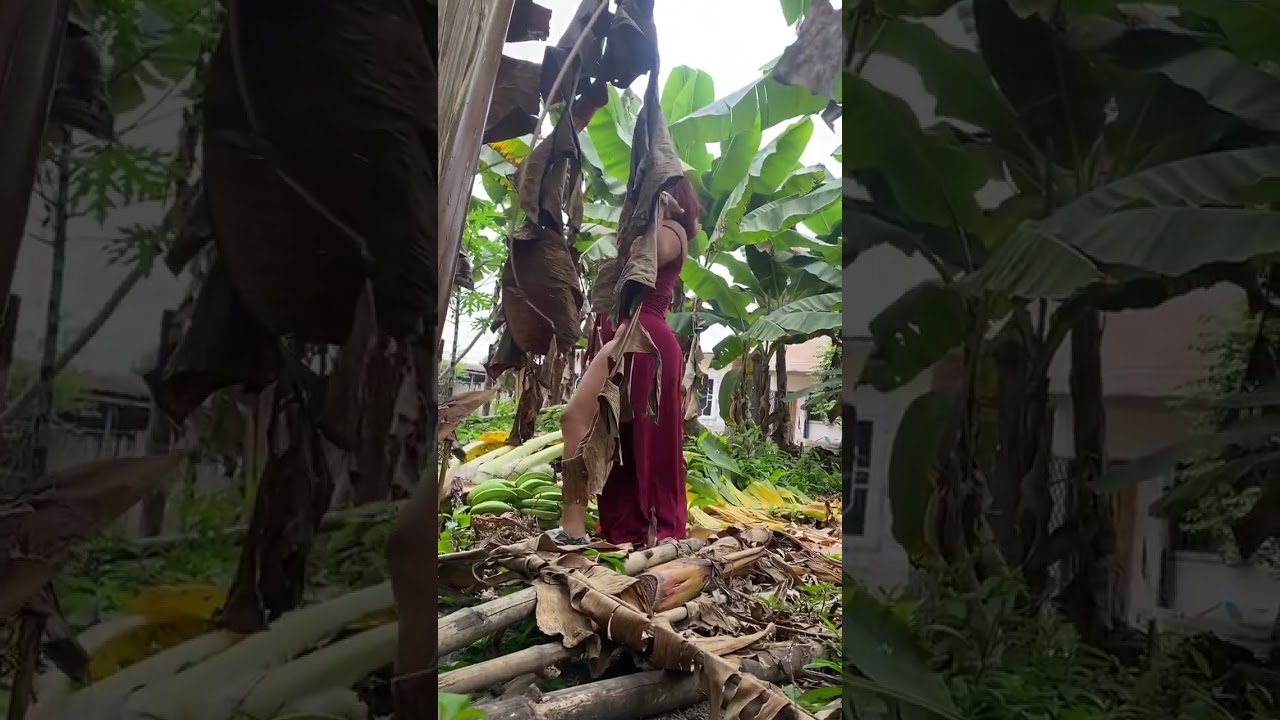 What caused the red dress Yuce Zambrano