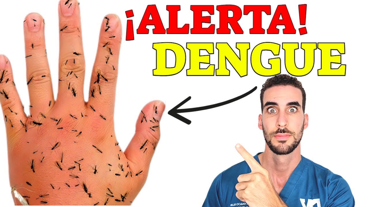 Que es y cómo Evitar el Dengue? – Así es Como el Virus Dengue DESTRUYE tu cuerpo!