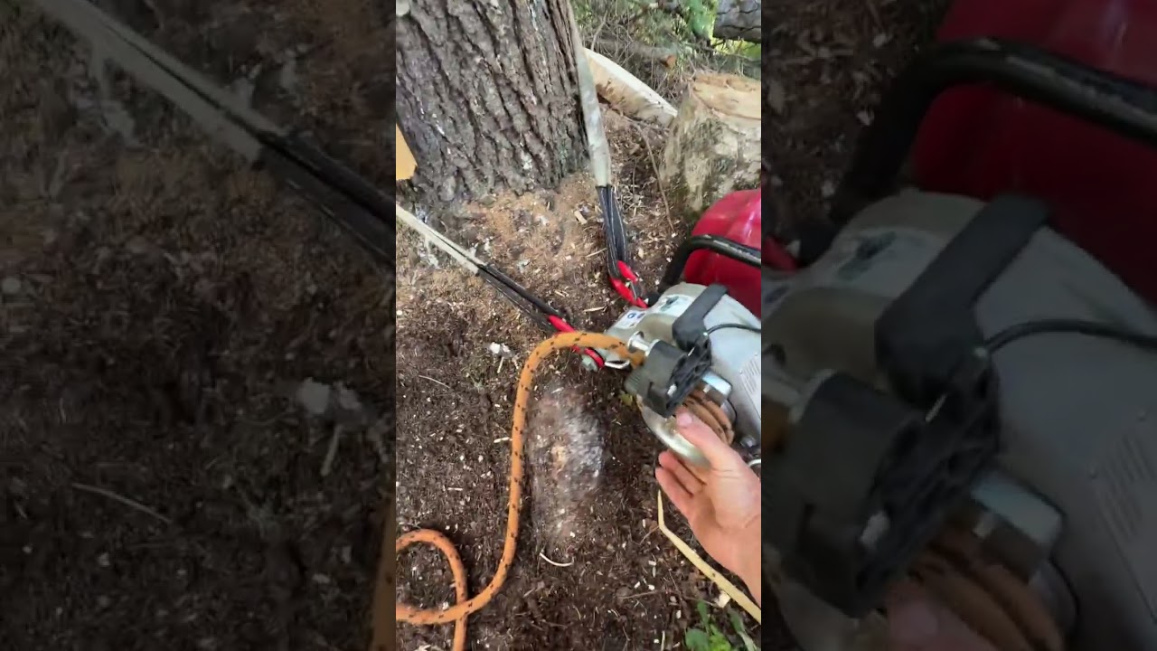 Log cabin gin  pole setup. 