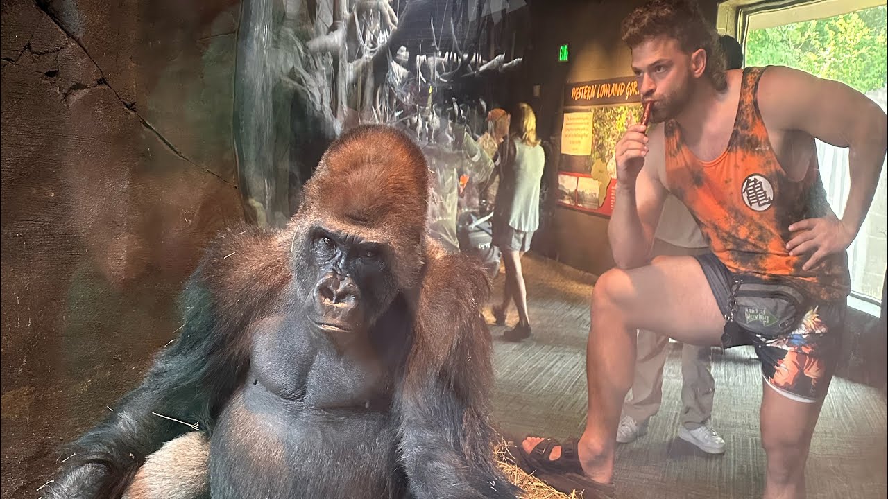 Omaha Zoo Part 1