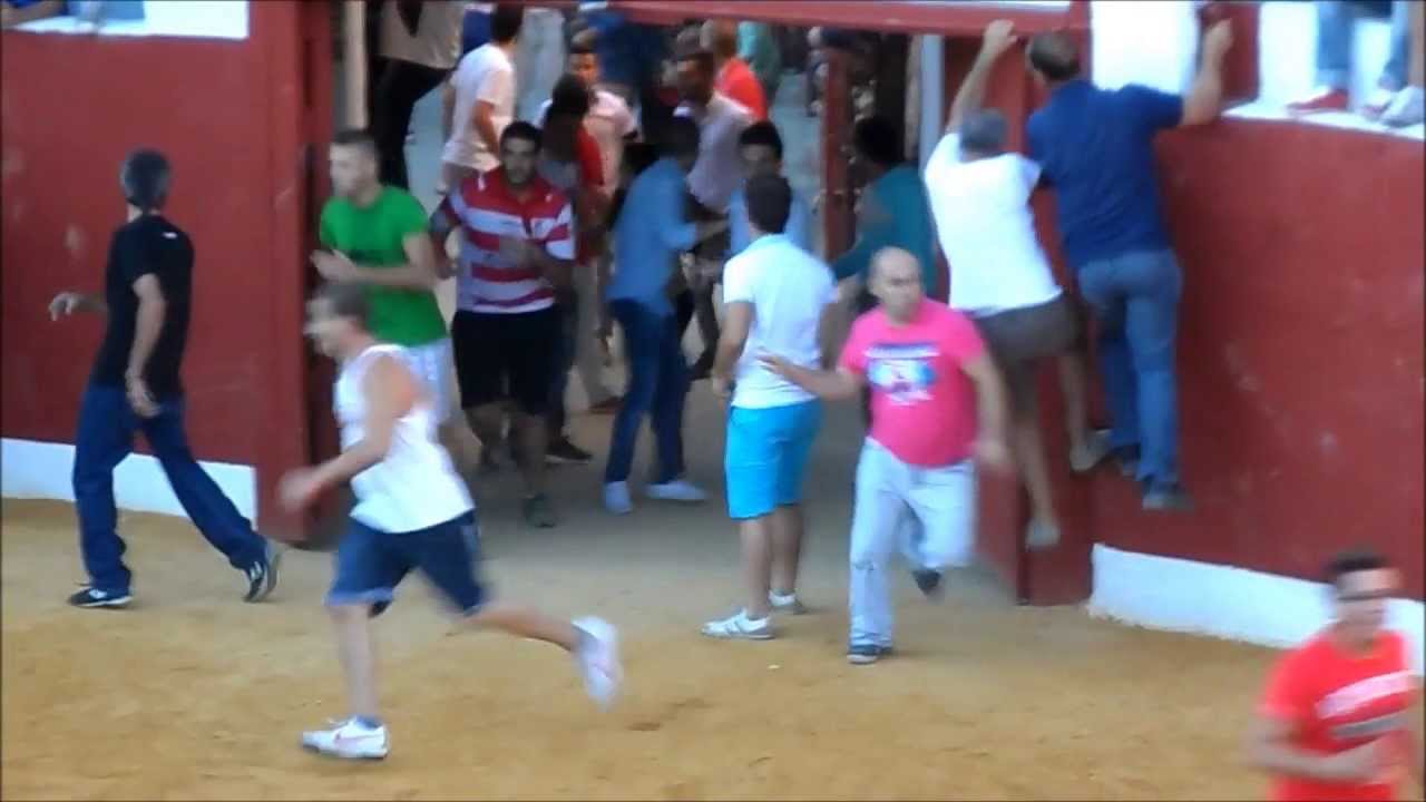 Último encierro Gor 2013