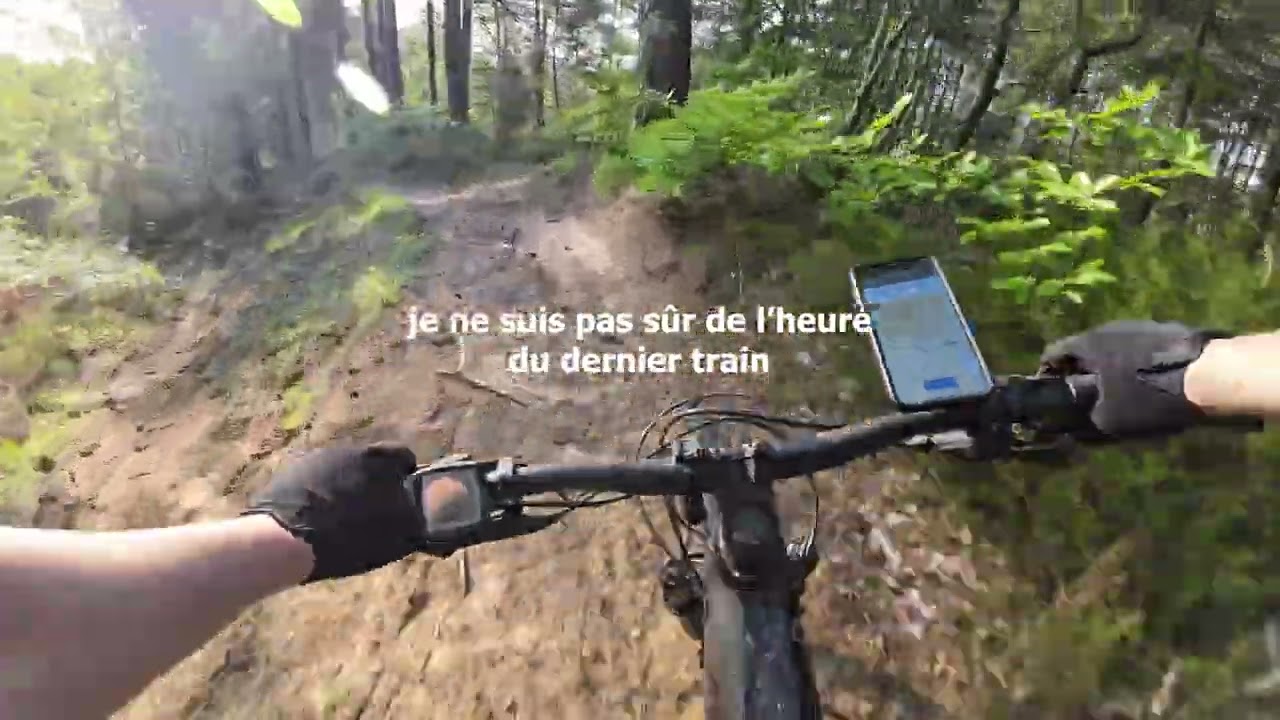 Les sentiers de Rambouillet en VTT — Les joyaux naturels en Île de France