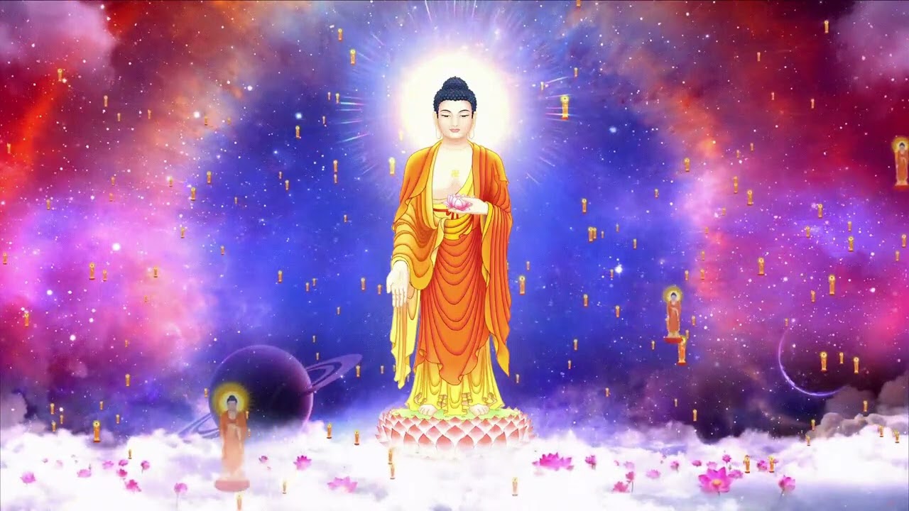 [PHẦN 25] TỔNG HỢP VIDEO CHIA SẺ PHÁP THIỀN ĐỐN NGỘ