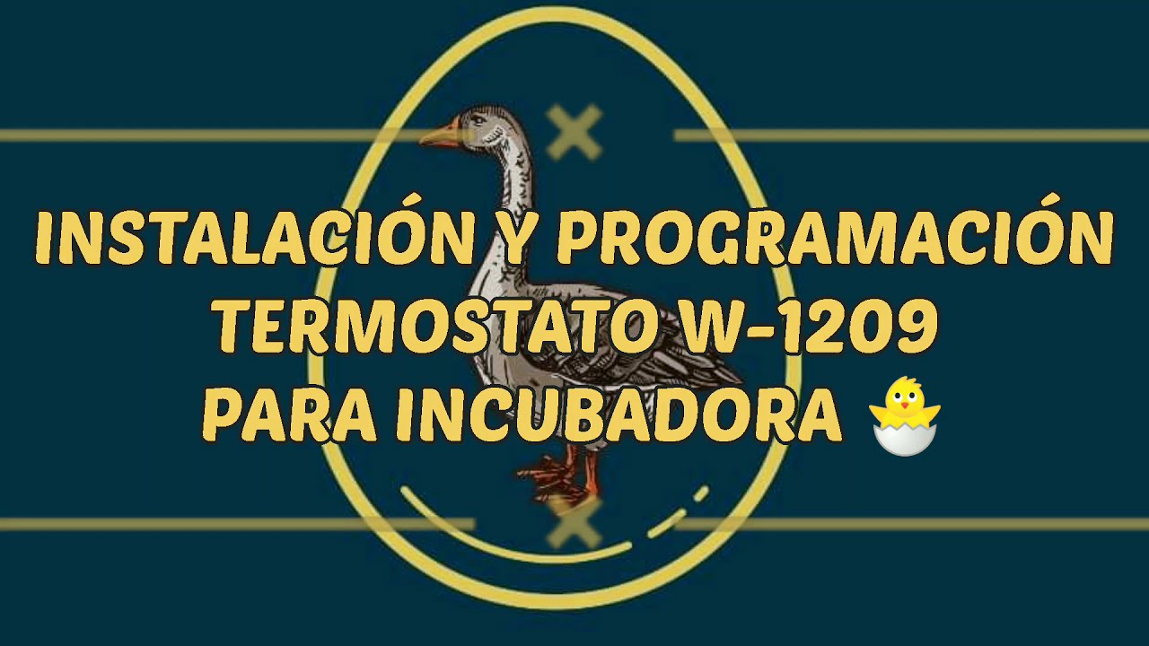 Explicación, instalación y Programación de Termostato w-1209.