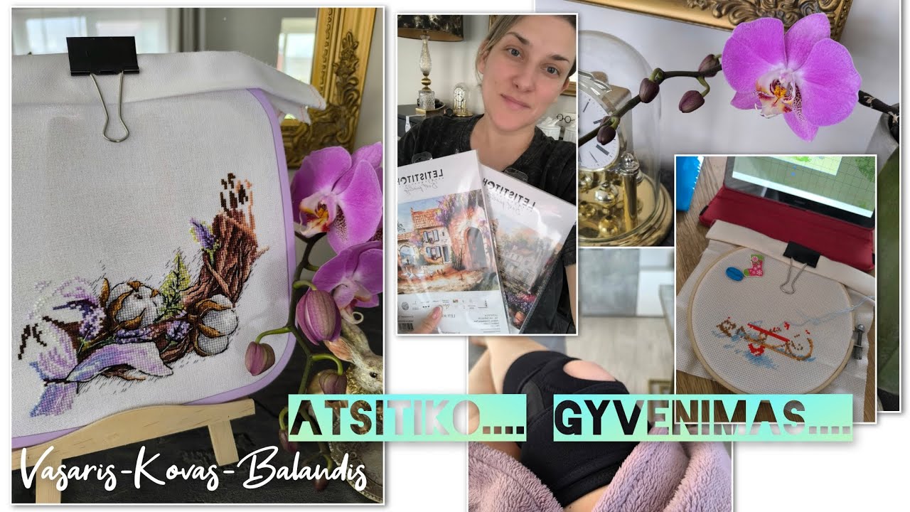 Siuvinėjimas kryželiu. Atsitiko.... GYVENIMAS.... |Vasaris - Balandis | GiDi stitch #crossstitch