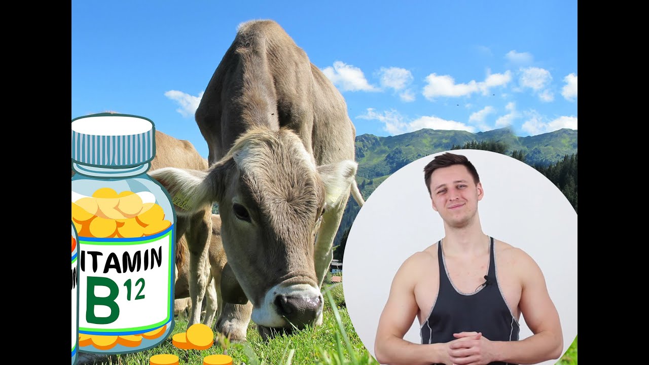 Vitamin B12 - nicht nur f&uuml;r Veganer!