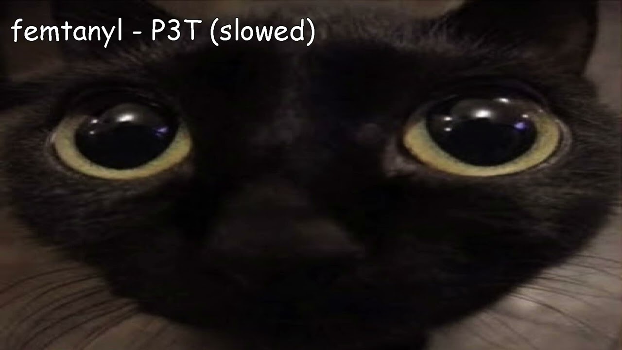 Femtanyl - P3T (slowed/daycore/anti-nightcore/whatever)