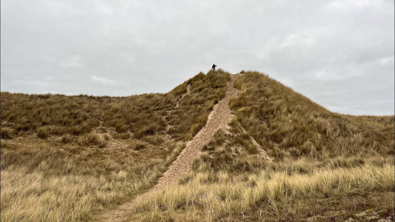 Spaziergang zum Strand / zu den Dünen / Julianadorp / Hunde / Holland /Niederlande / Dezember 2021