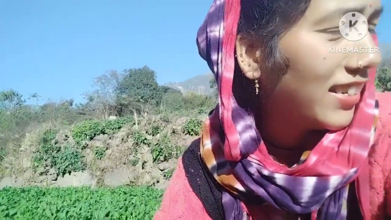 आज थोड़ा खेतों की ओर 🌿🌿😊