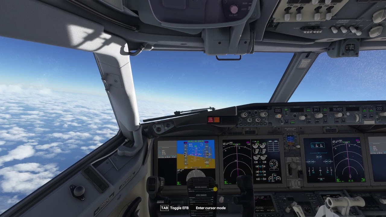 Serious Pilot Face On (For Now) | 737 MAX to Baku