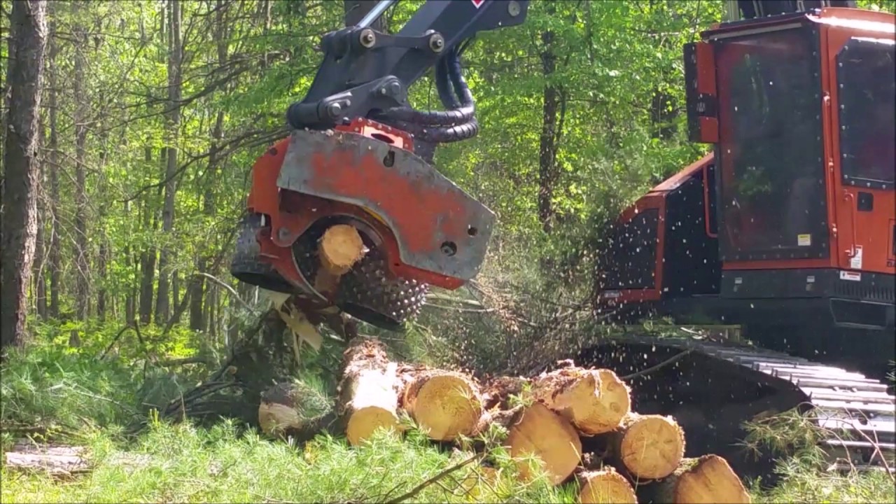 JP Skidmore CF-22 on Barko 260B in pine