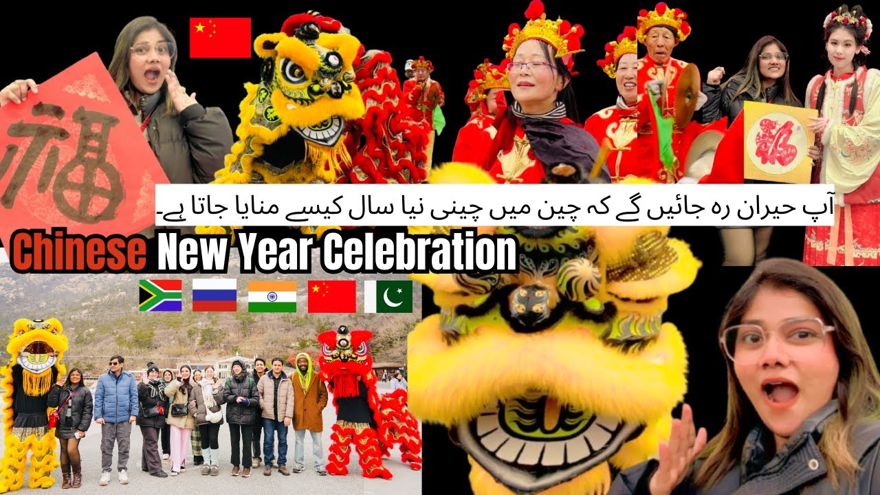 Chinese New Year in China 🎊 | Traditional Dance, Lanterns, Calligraphy & Culture Vlog 🇨🇳