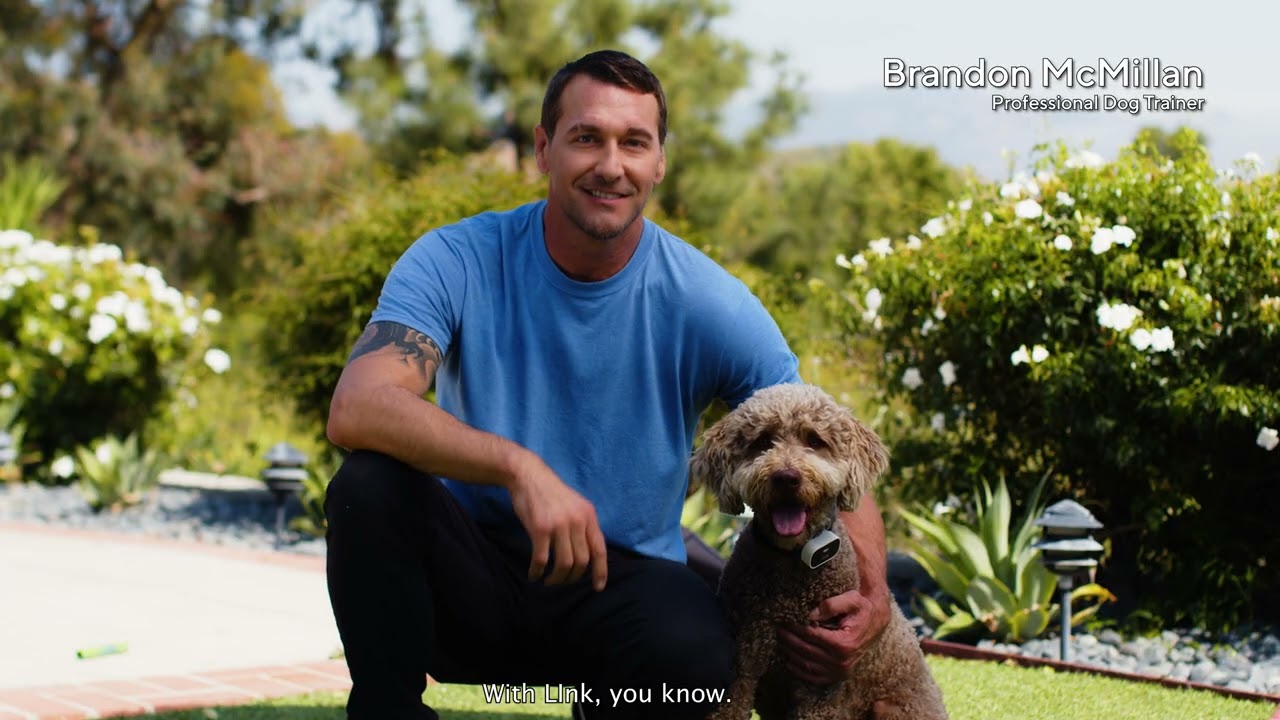 Get to Know Link The Smart Pet Wearable