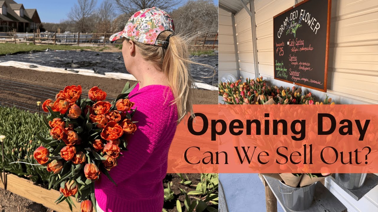 Opening Our Flower Farm Stand | Sell Out?
