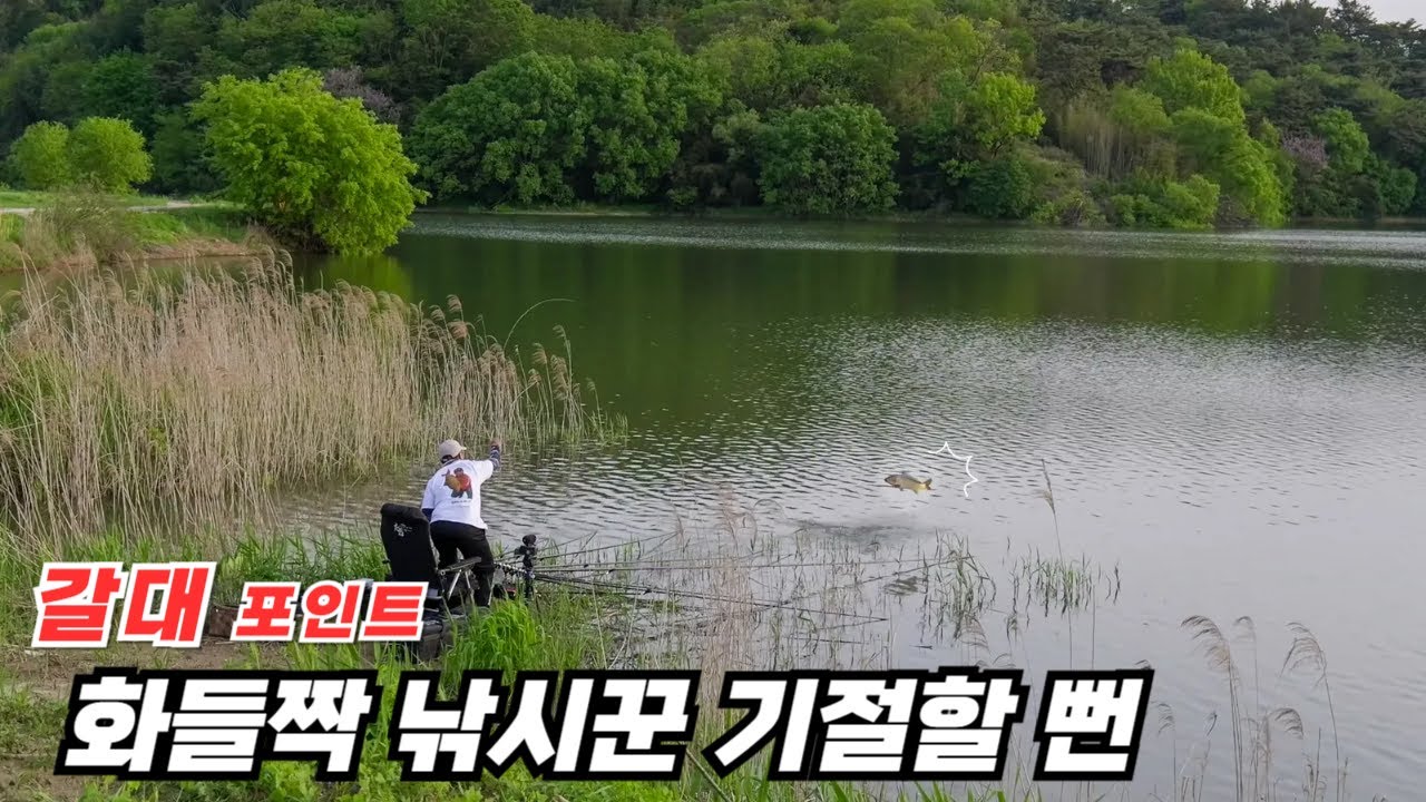 멋지고 평화로운 갈대밭에 속지 마 엄청난 녀석이 숨어있다고