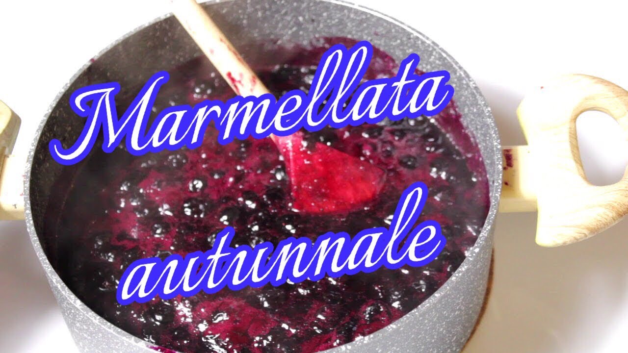 RICETTA AUTUNNALE: Confettura di mirtilli bio in 30 minuti