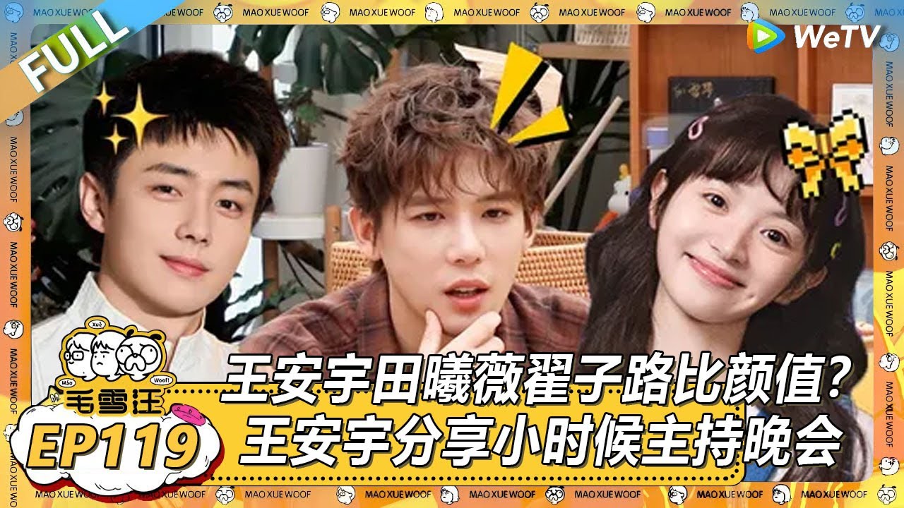 【超长沉浸版EP119】：王安宇田曦薇翟子路比颜值？！|《毛雪汪》 PLUS #综艺 #毛雪汪 #李雪琴 #毛不易 #王安宇