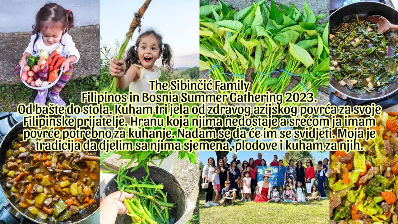 OD BAŠTE DO STOLA | KUHAM TRI JELA OD ZDRAVOG AZIJSKOG POVRĆA ZA SVOJE FILIPINSKE PRIJATELJE